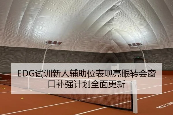 EDG试训新人辅助位表现亮眼转会窗口补强计划全面更新